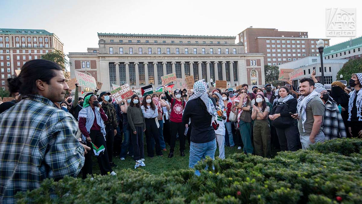Pro-Palestinian demonstrators attend a protest at Columbia University