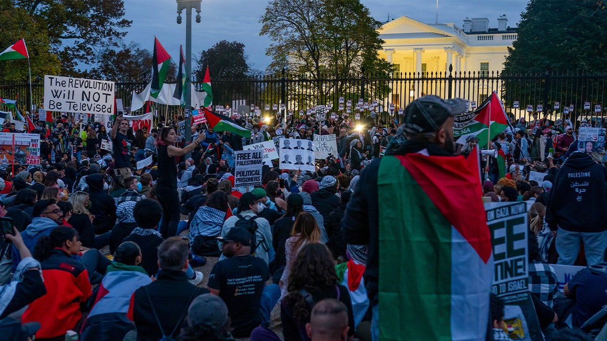 pro-Palestinian protesters outside the White House