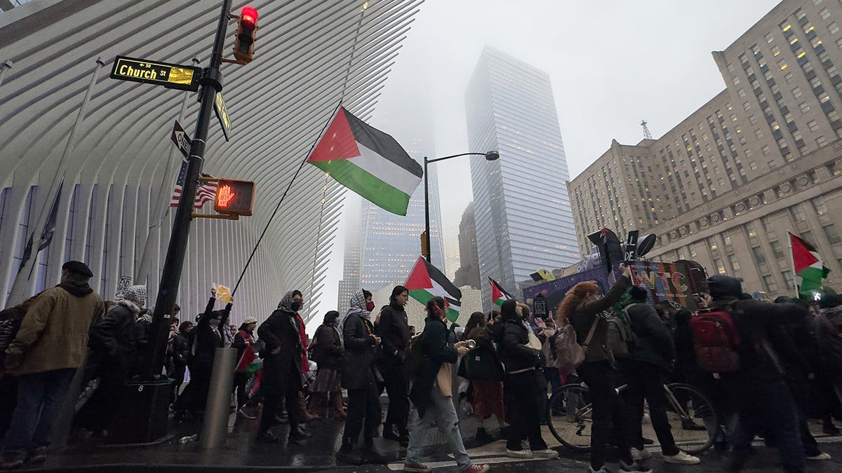 Pro-Palestine protest near the World Trade Center