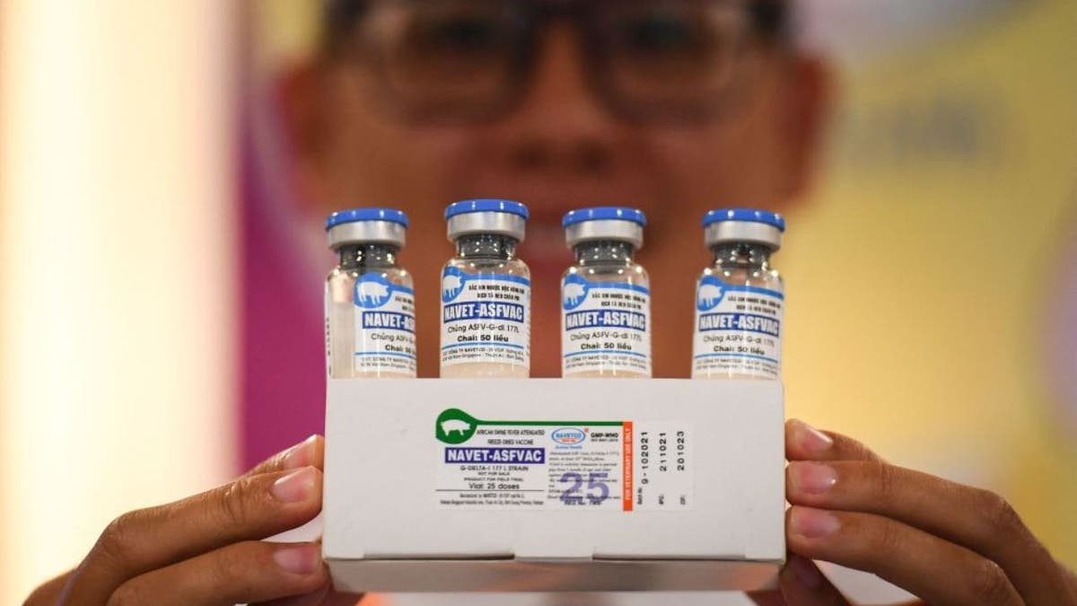 A man holds up four vaccines to prevent African swine fever