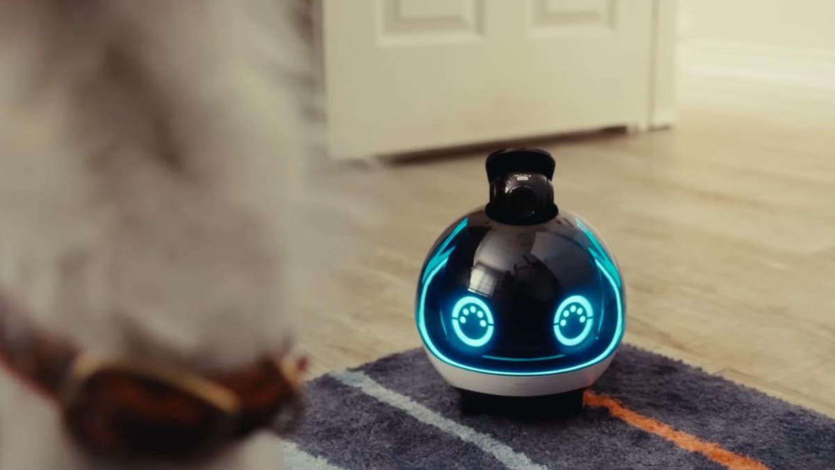 How this robot helps you protect and connect your home