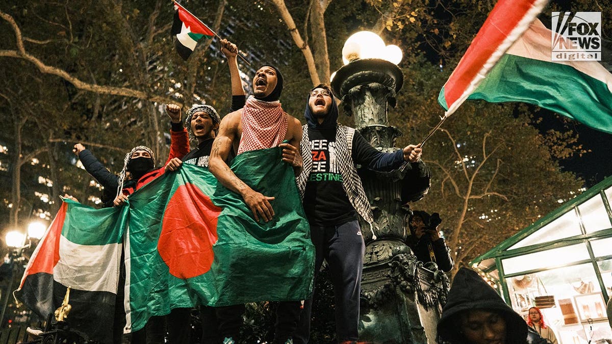 Pro-Palestian protesters march in New York City