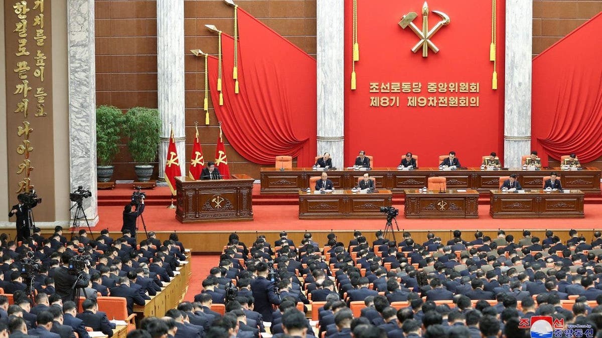 Plenary meeting North Korea