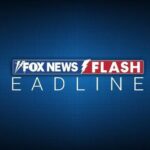 Philippines bus crash kills 16, injures 12 after plunging off ravine