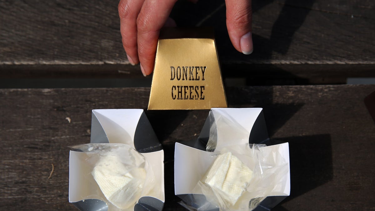 Serbian donkey cheese