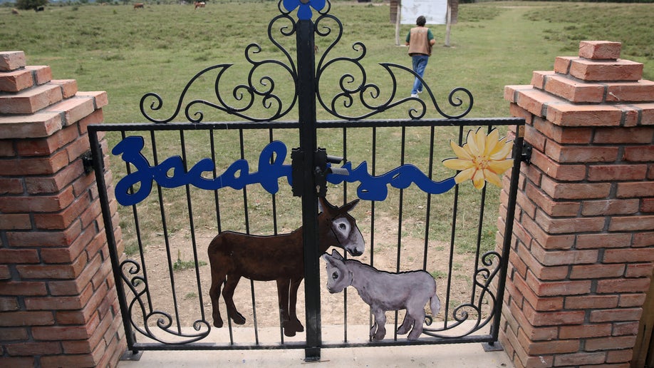 Zasavica donkey farm 