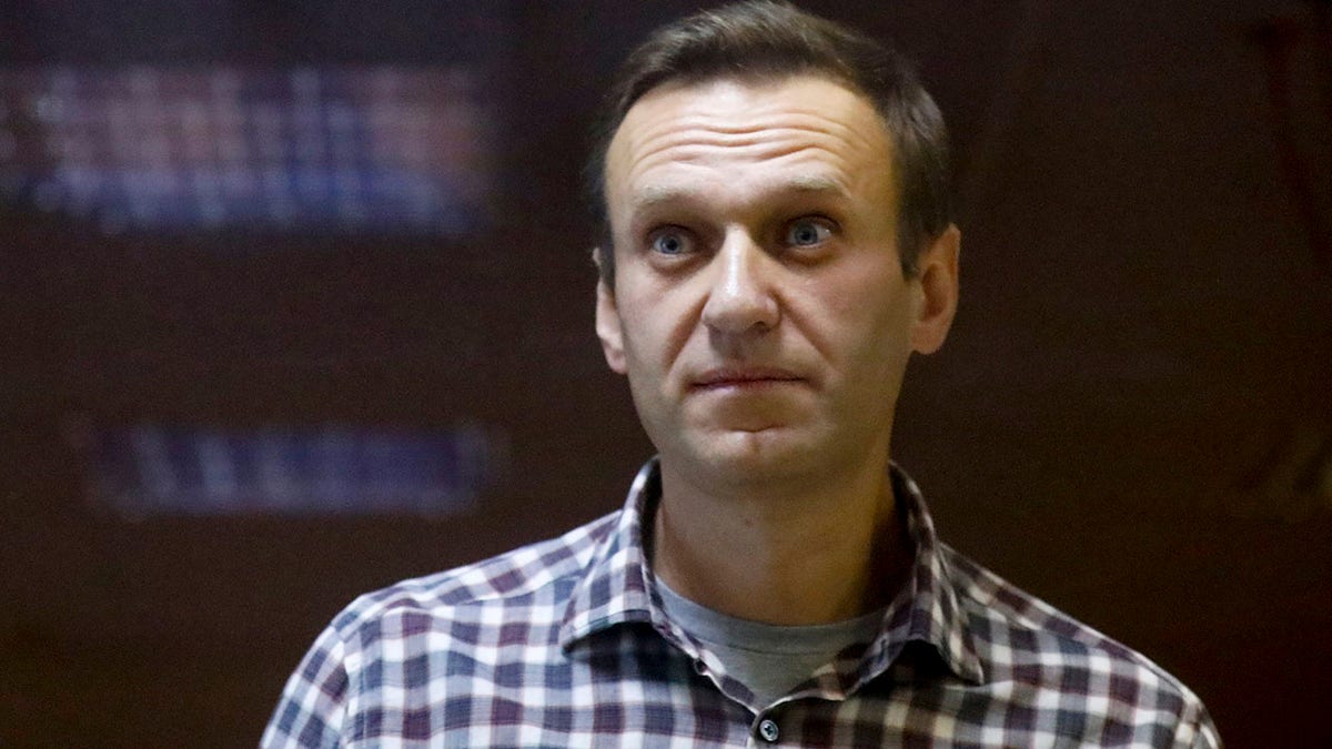 Russian opposition leader Alexei Navalny in court