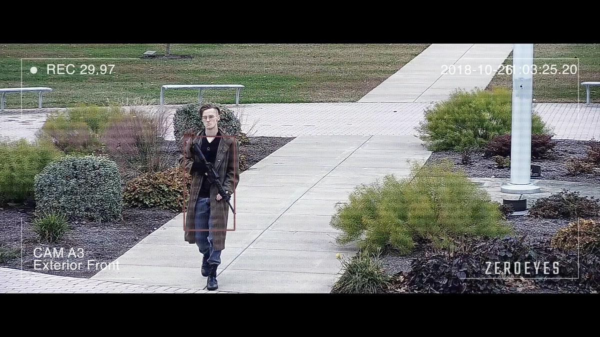 Person walking with rifle in hand