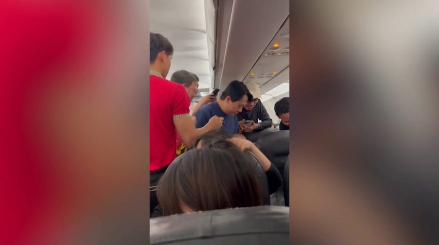 Passenger panic as rat, wild animal get loose aboard plane