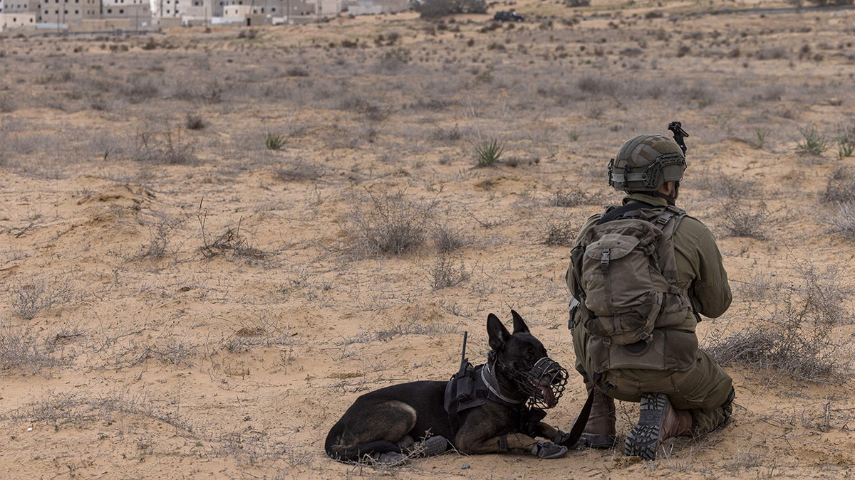 IDF soldier with K-9