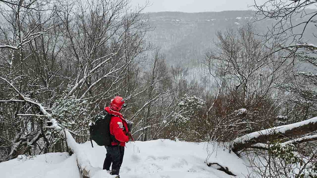 rescuer overlooking snowy gorge