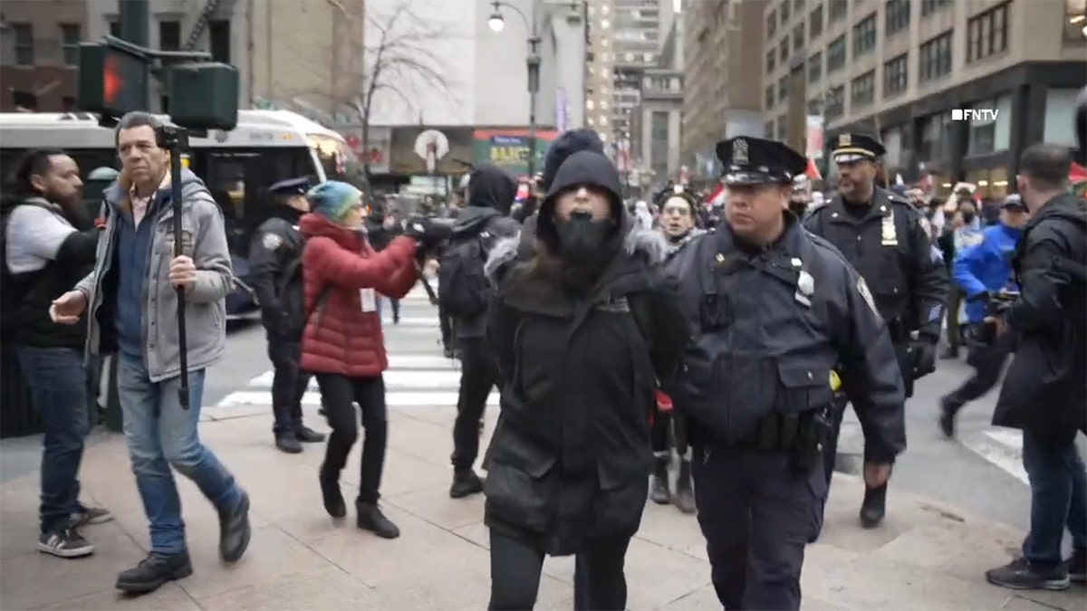 Demonstrator arrested by NYPD