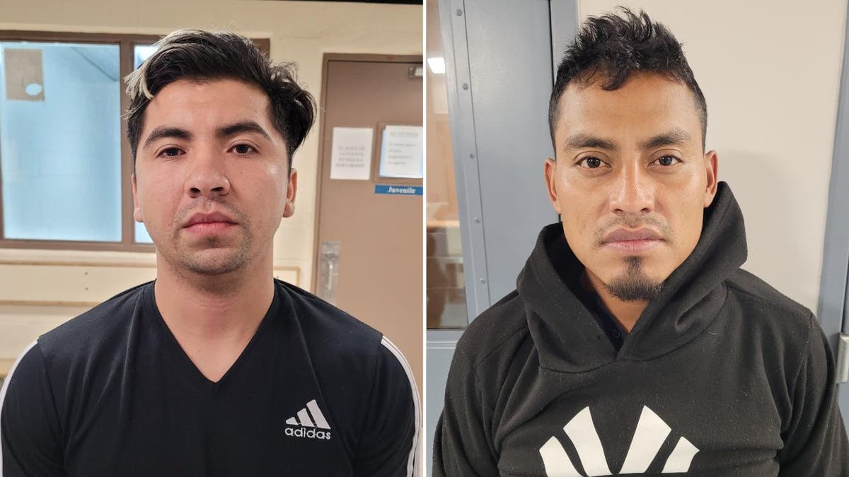 Convicted felons who were captured entering the US illegally