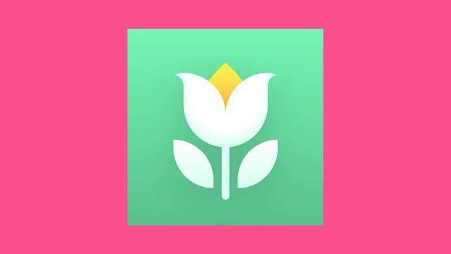 green plant parent flower logo on pink background