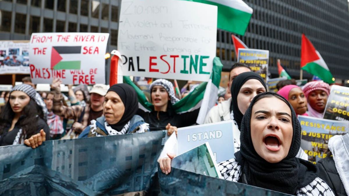 Pro Palestinian rally in Chicago