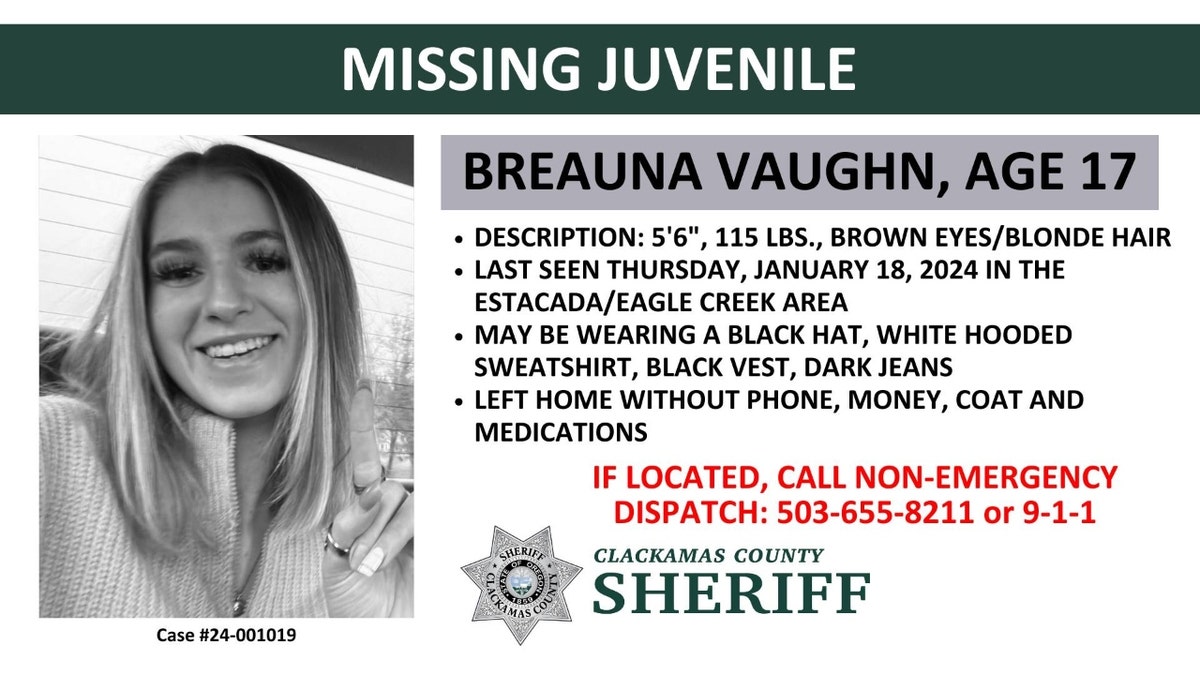 A missing flyer for Breauna Vaughn