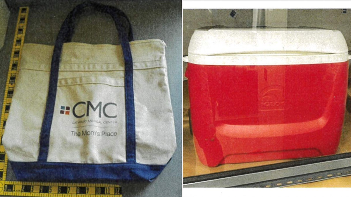 A white and blue maternity tote bag next to a red cooler with a white top.