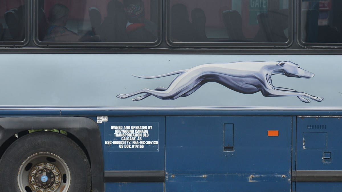 The side of a Greyhound Bus