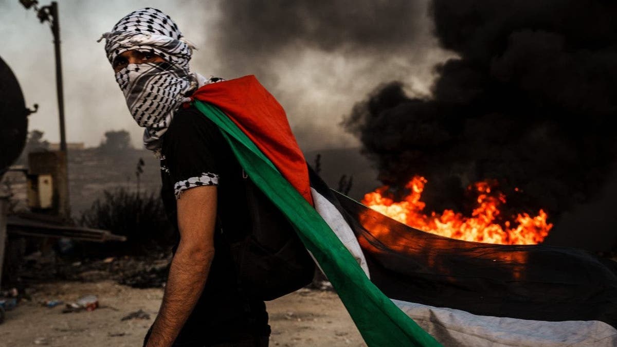 Palestinian flag mask