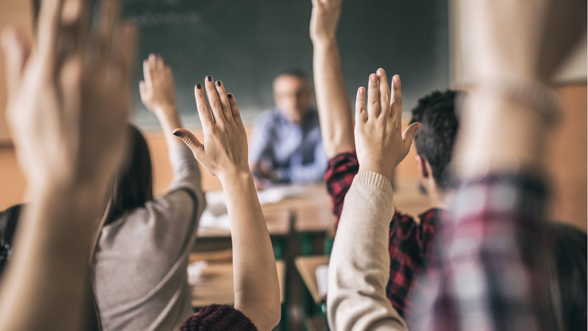 Students raise hand in classroom college