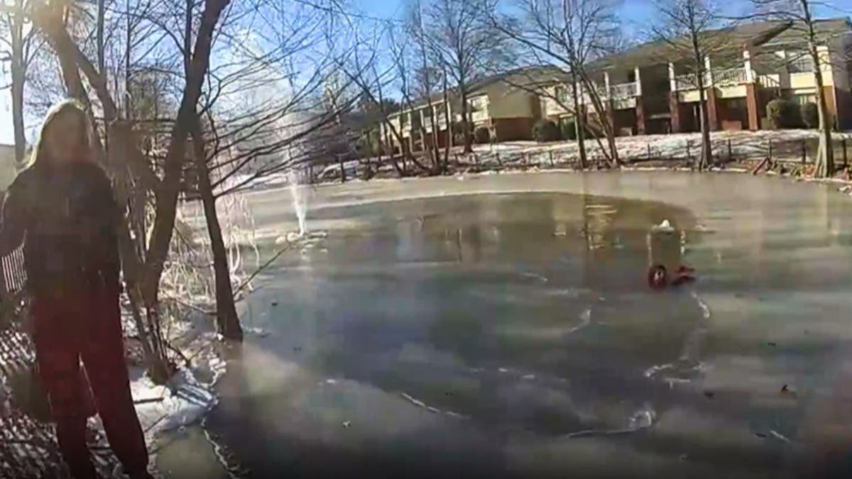 Frozen pond in Arkansas community