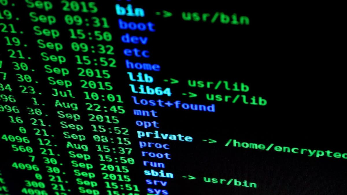 Homeland Security warns federal agencies of hackers targeting Google Chrome, Excel spreadsheets