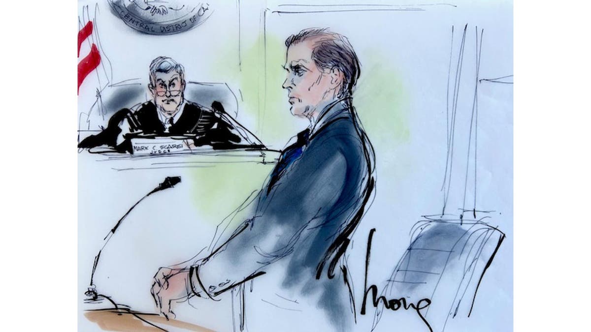 Hunter Biden in court