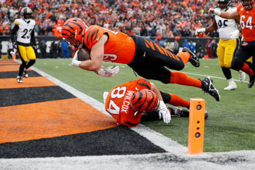 Cincinnati Bengals tight end Drew Sample dives into the end zone for a touchdown during the Bengals' 16-10 loss to the Pittsburgh Steelers.