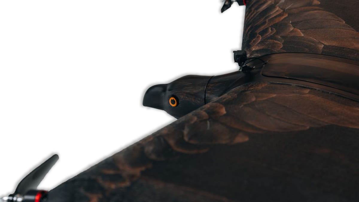 It may look like an eagle, but it's actually a stealthy bird-drone for covert missions