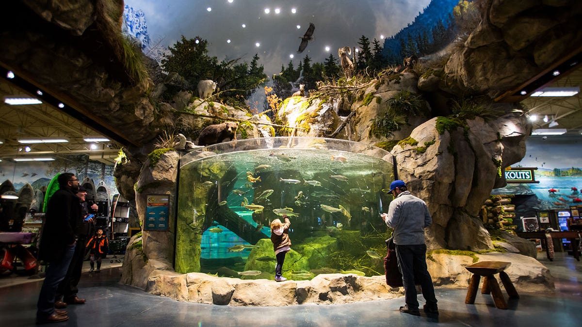 A Bass Pro Shop aquarium.