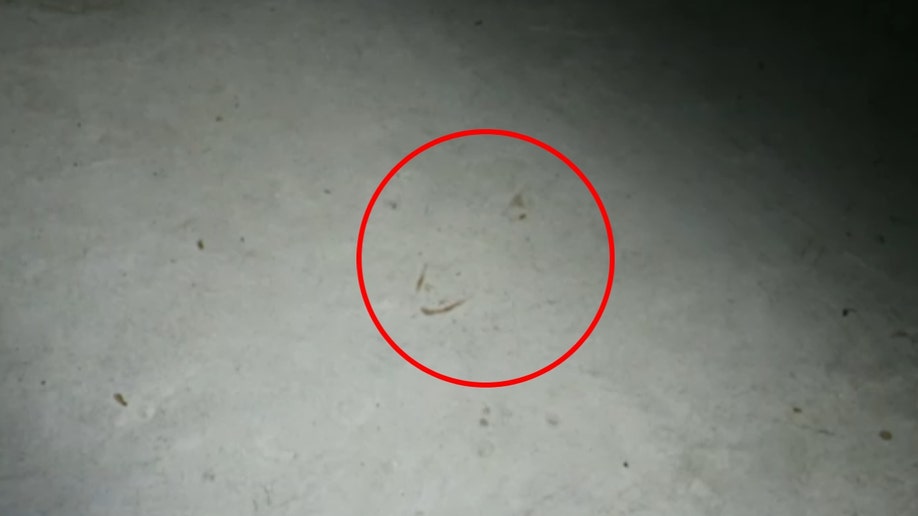 The outline of a shoeprint in Jennifer Dulos' garage