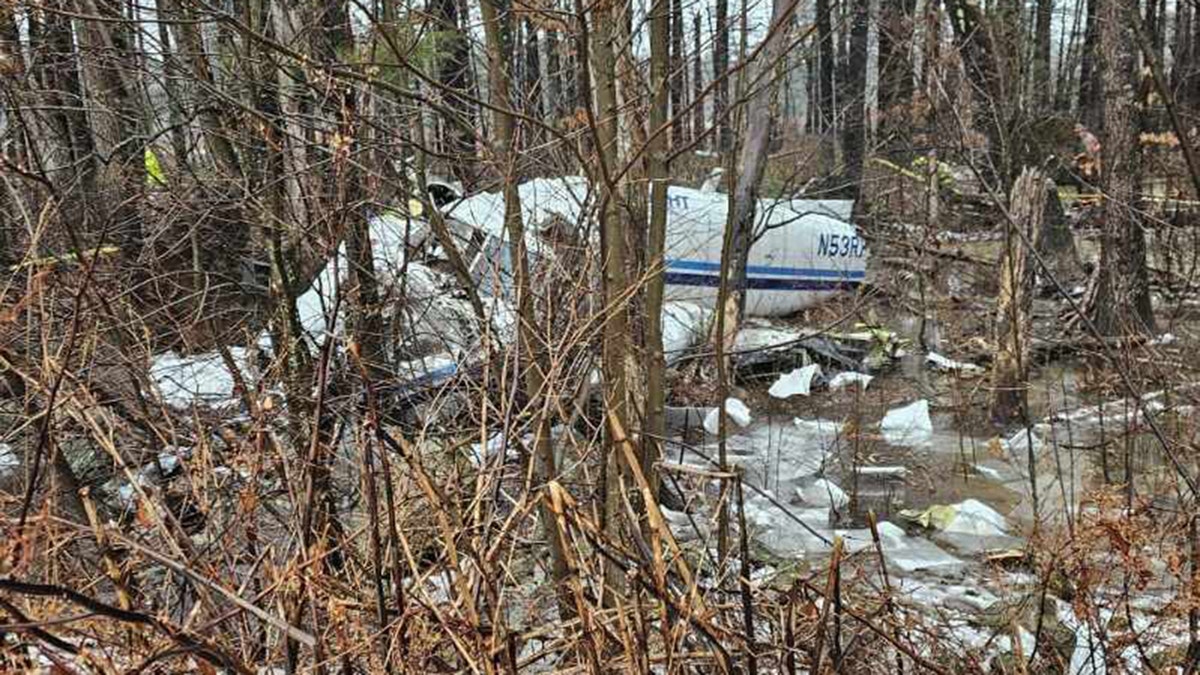 Wreckage of plane crash in a neighborhood surrounding trees