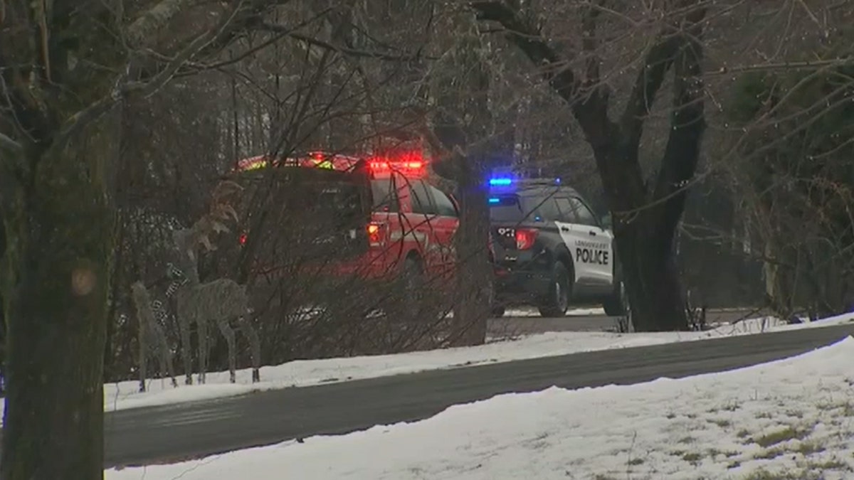 Red fire vehicle, police car, fake deer, snow on ground, trees