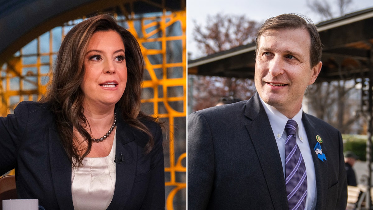 Elise Stefanik, Dan Goldman