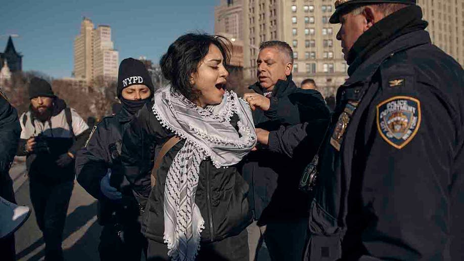 protesters on Brooklyn Bridge
