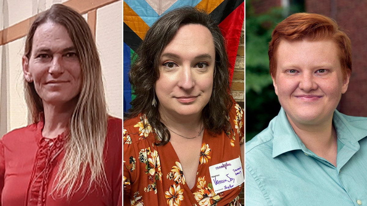 Transgender Democratic candidates Bobbie Brooke Arnold, Vanessa Joy and Ari Faber