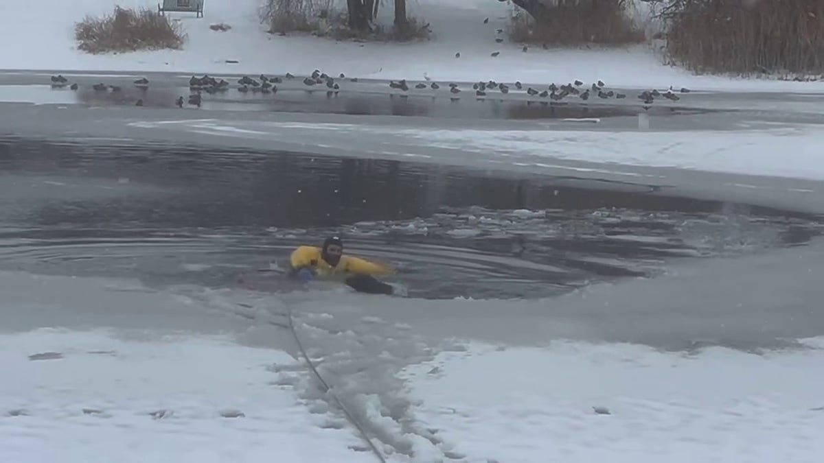 firefighter in lake with dog