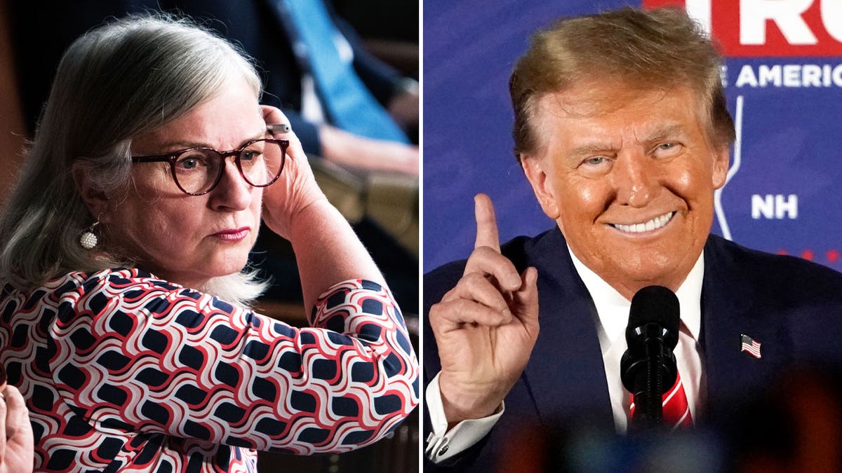 photo split: Rep. Susan Wild, left and Donald Trump right