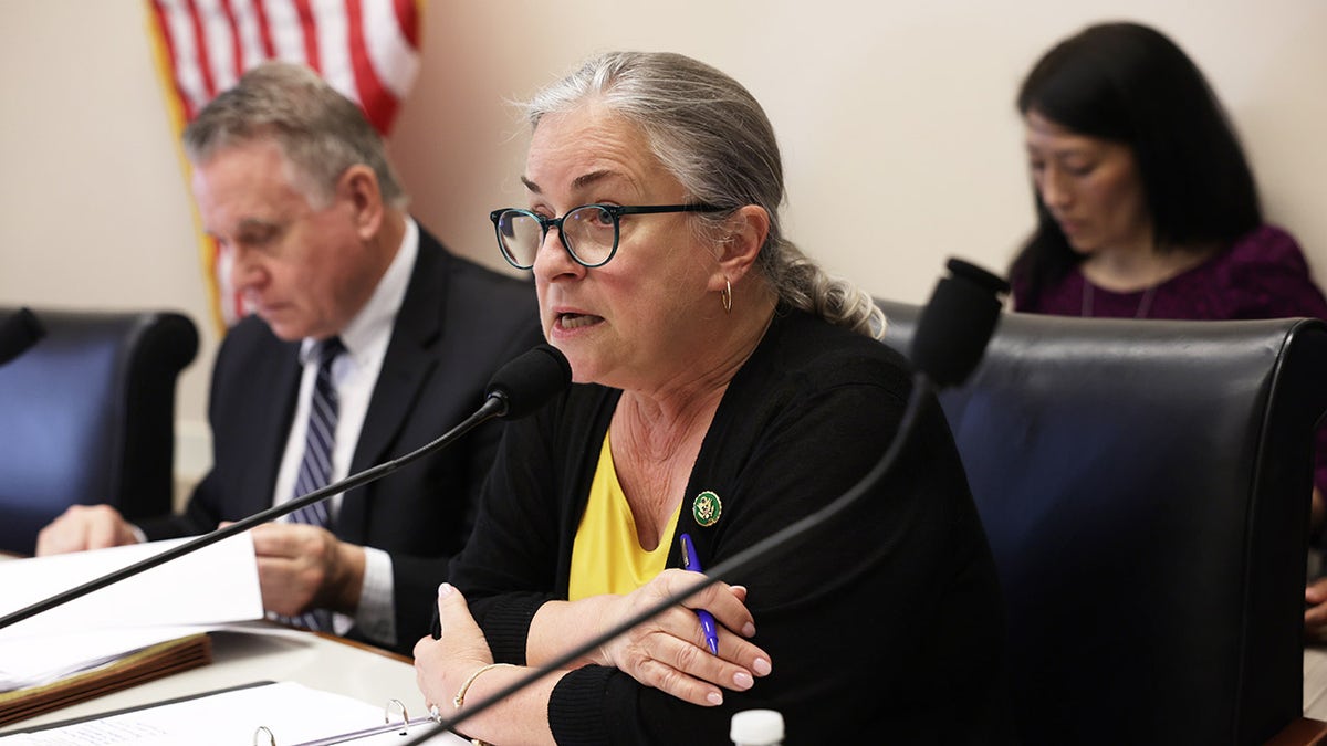 Rep. Susan Wild speaking at a hearing on Capitol Hill