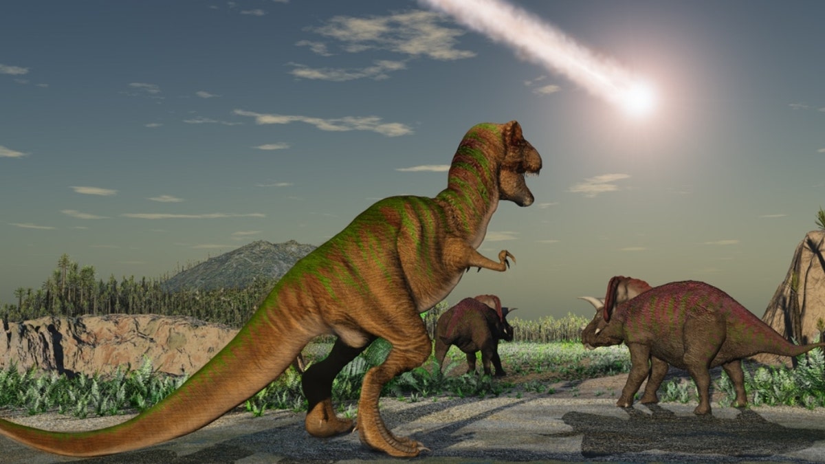 asteroid streaking through sky over dinosaurs illustration