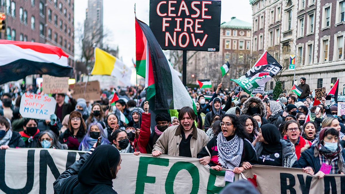 Pro-Palestine student demonstrators in NYC
