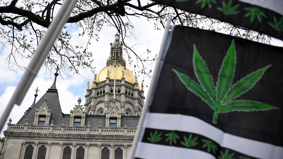 Marijuana flags outside the Connecticut Capitol