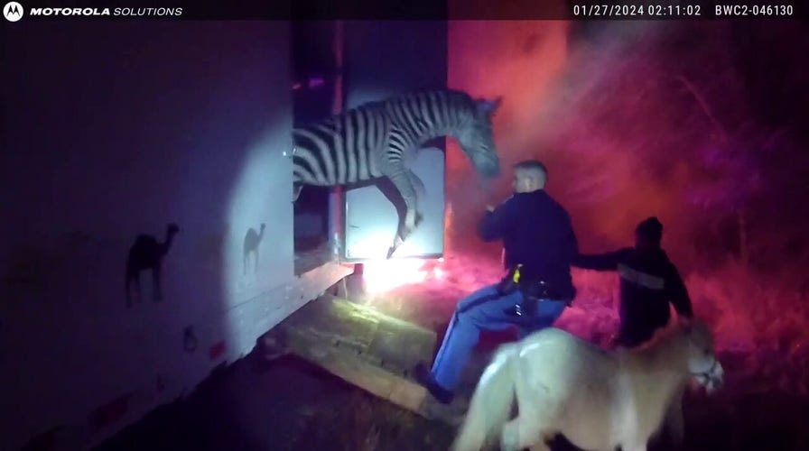 Indiana police rescue circus animals from burning truck along I-69