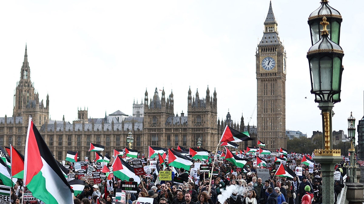 Palestinian supporters in London