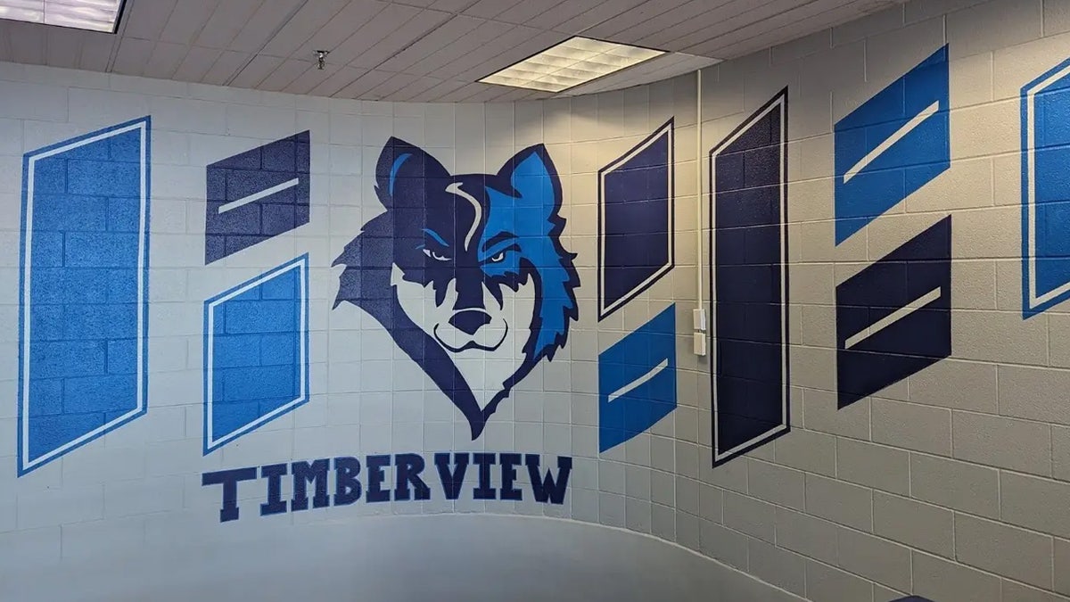 Timberview High School