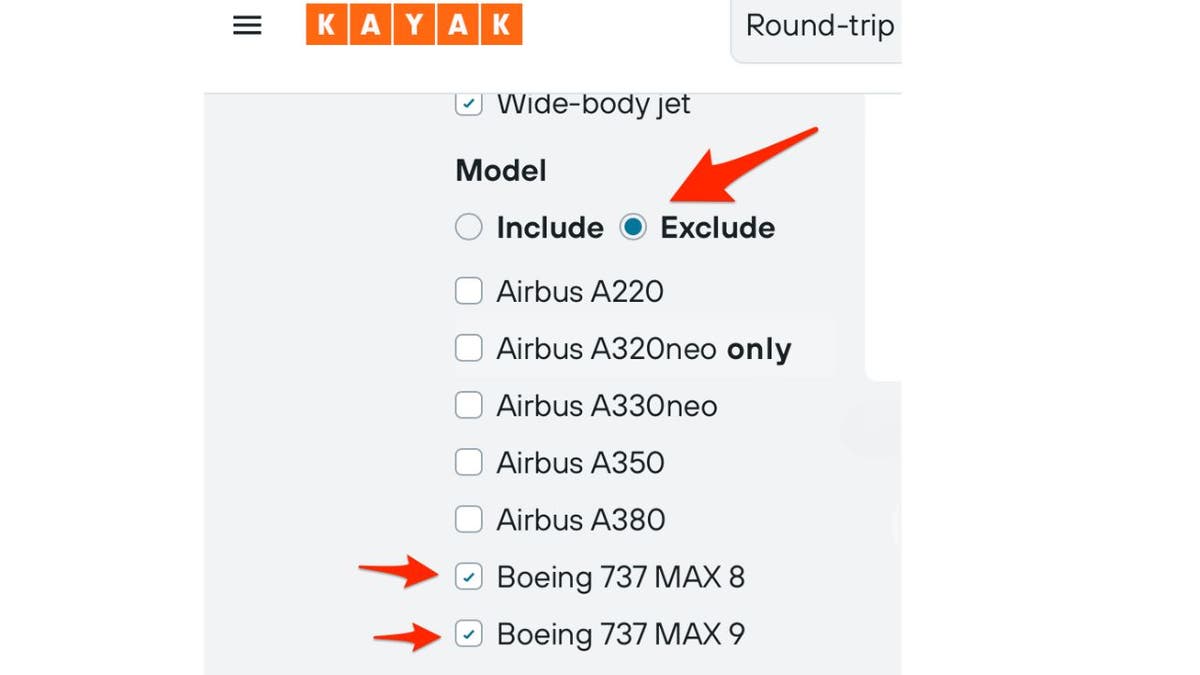 737 Max 3