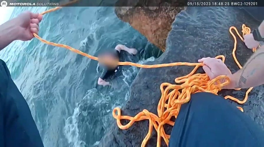 Stunning water rescue: Officers go all out to save young woman who had slipped into water off Lake Michigan