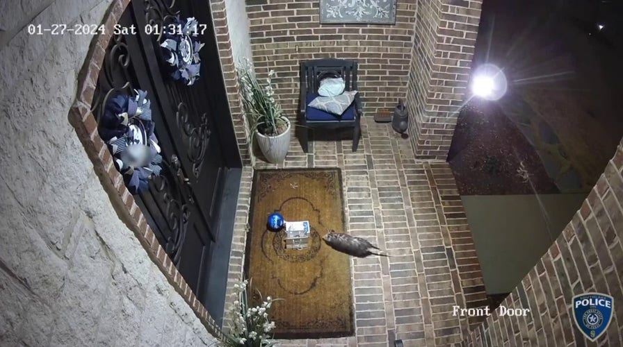 Opossum 'porch pirate' steals 15-year-old's birthday cookies