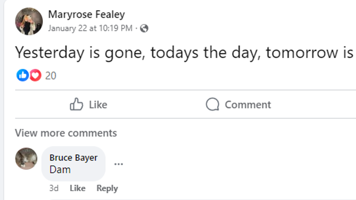 One of Maryrose Fealey's final Facebook posts