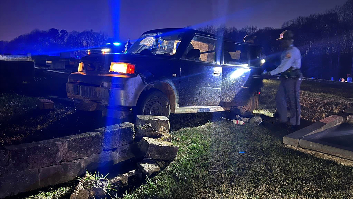 South Carolina driver damages graves